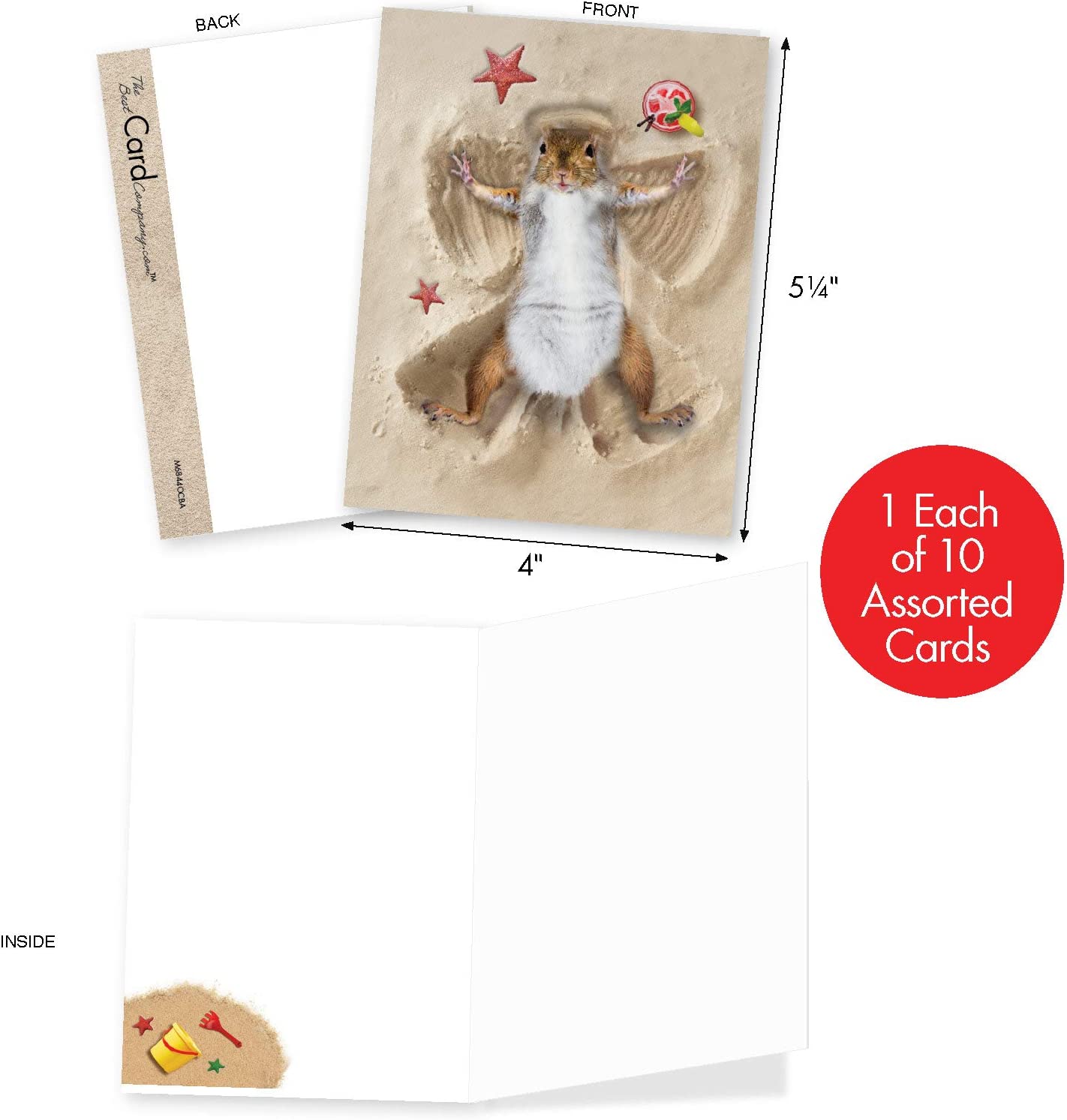 The Best Card Company - 10 Adorable Note Cards Blank (4 x 5.12 Inch) - Wildlife and Animal Cards, Assorted Boxed Kids Set - Sand Angels AM6844OCB-B1x10 - Image 2